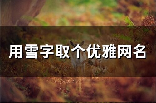 用雪字取個優(yōu)雅網名(173個)