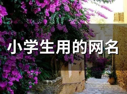 小學(xué)生用的網(wǎng)名(126個)