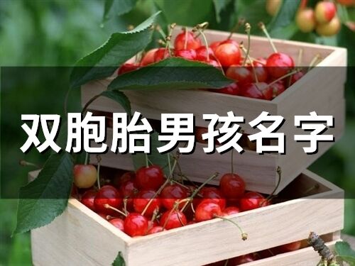 雙胞胎男孩名字(100個)
