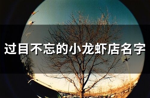 過目不忘的小龍蝦店名字(精選173個)