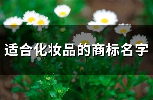 適合化妝品的商標名字(精選210個)