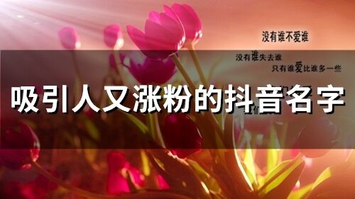 吸引人又漲粉的抖音名字(精選460個)