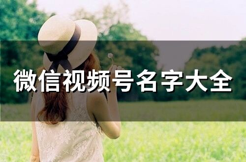 微信視頻號名字大全(204個)