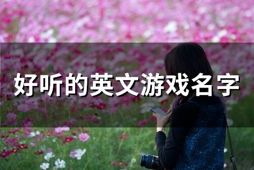 好聽的英文游戲名字(精選106個)