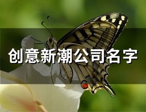 創意新潮公司名字(精選62個)
