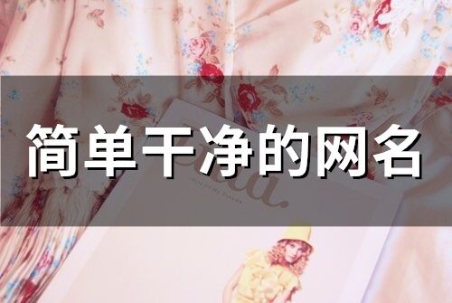 簡單干凈的網名(557個)