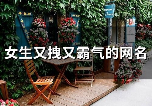 女生又拽又霸氣的網名(精選213個)