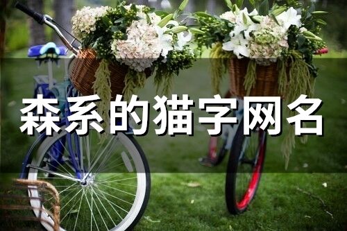 森系的貓字網(wǎng)名(精選76個(gè))