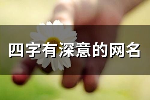 四字有深意的網名(707個)