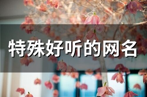 特殊好聽的網名(精選369個)