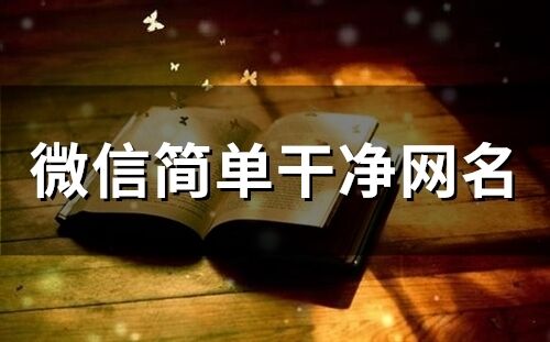 微信簡(jiǎn)單干凈網(wǎng)名(精選146個(gè))