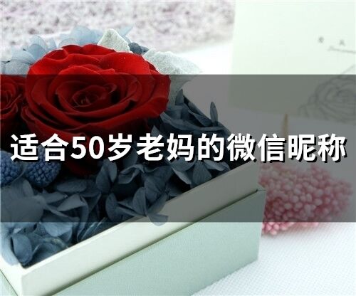 適合50歲老媽的微信昵稱(274個(gè))