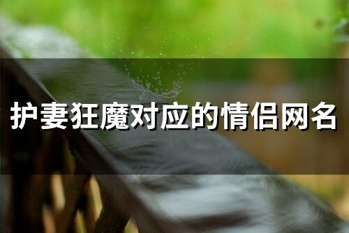 護妻狂魔對應的情侶網(wǎng)名(精選62個)