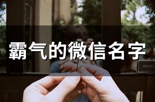 霸氣的微信名字(375個)
