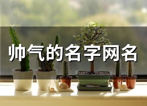 帥氣的名字網名(精選254個)