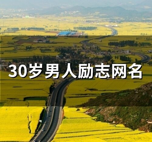 30歲男人勵(lì)志網(wǎng)名(103個(gè))