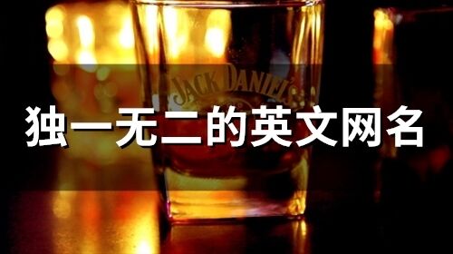獨一無二的英文網名(64個)