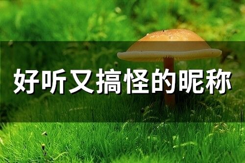 好聽又搞怪的昵稱(精選158個)