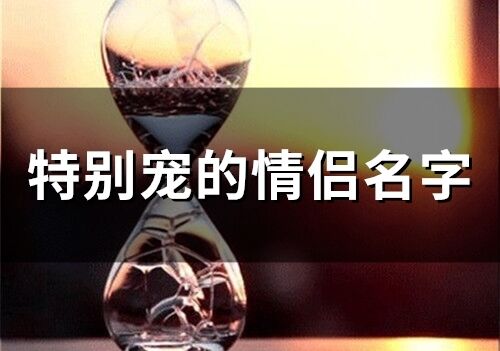 特別寵的情侶名字(精選111個)