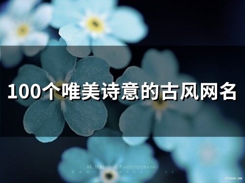 100個(gè)唯美詩意的古風(fēng)網(wǎng)名