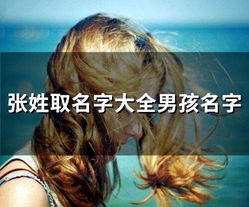張姓取名字大全男孩名字(精選414個)