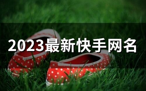 2023最新快手網名(167個)