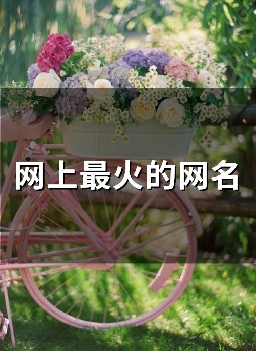 網上最火的網名(874個)
