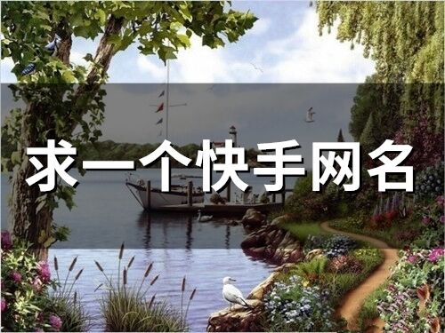 求一個快手網名(441個)