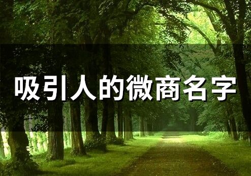 吸引人的微商名字(精選267個)