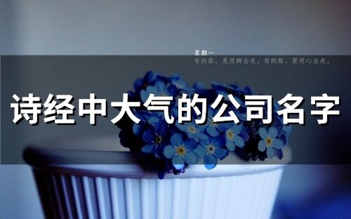 詩經(jīng)中大氣的公司名字(精選26個)