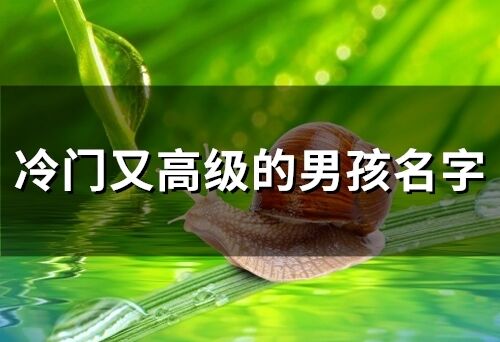 冷門又高級的男孩名字(精選86個)