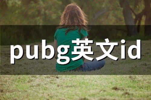 pubg英文id(精選231個(gè))