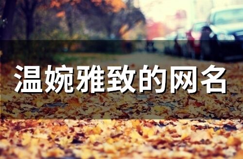 溫婉雅致的網名(278個)
