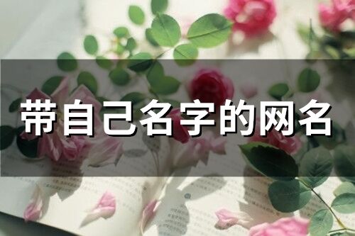 帶自己名字的網名(精選102個)