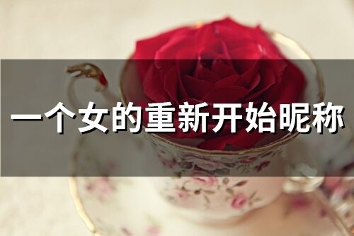 一個女的重新開始昵稱(132個)