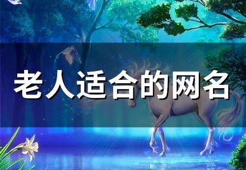 老人適合的網名(158個)