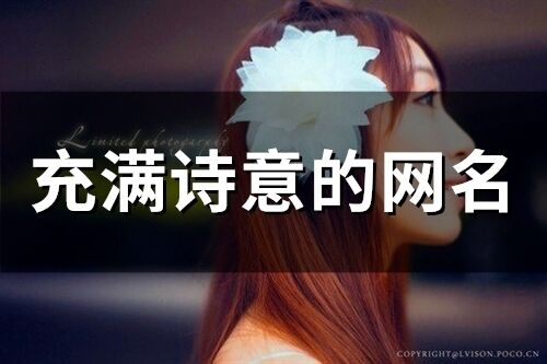 充滿詩意的網名(144個)