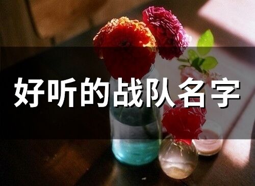 好聽的戰(zhàn)隊名字(精選131個)