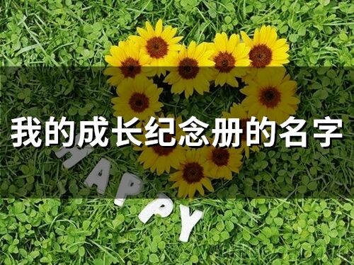 我的成長紀念冊的名字(106個)