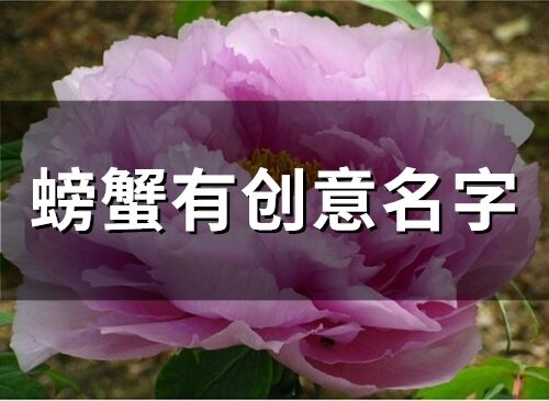 螃蟹有創意名字(精選92個)