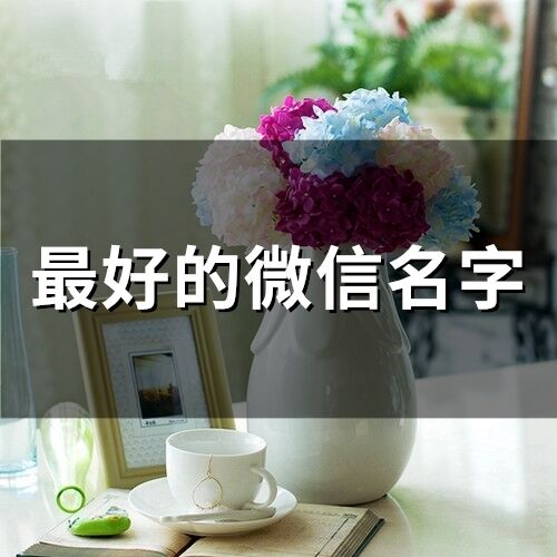 最好的微信名字(378個)