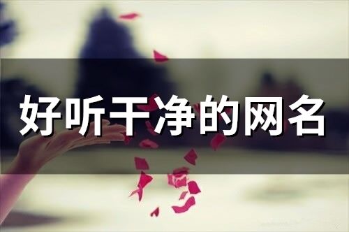 好聽干凈的網名(精選346個)