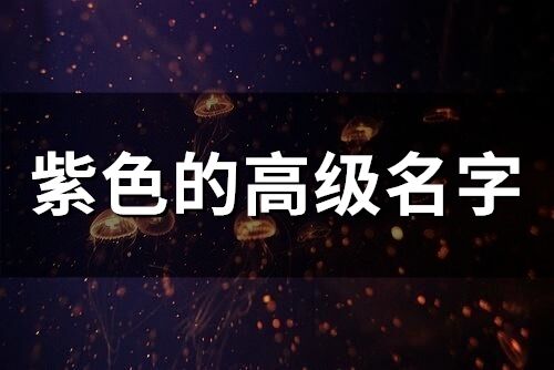 紫色的高級名字(63個)