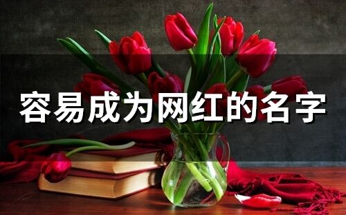容易成為網紅的名字(精選109個)