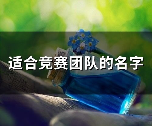 適合競賽團隊的名字(精選78個)