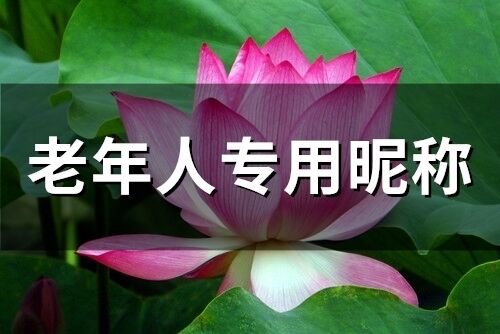 老年人專用昵稱(精選258個)