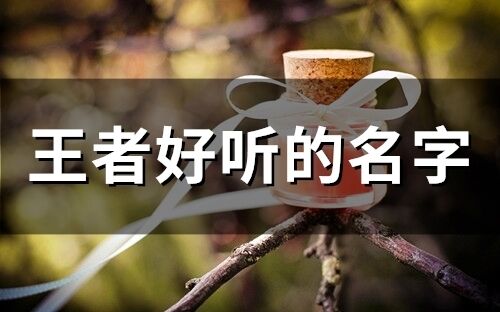 王者好聽的名字(精選96個)