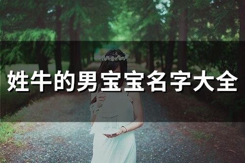 姓牛的男寶寶名字大全(精選395個)