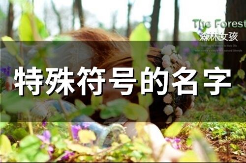 特殊符號的名字(精選95個)