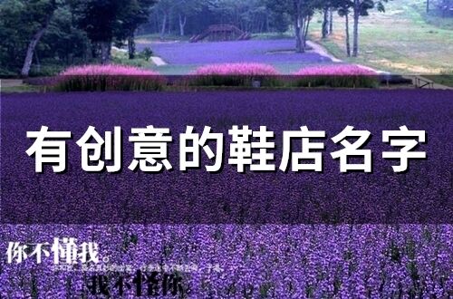 有創(chuàng)意的鞋店名字(精選100個)